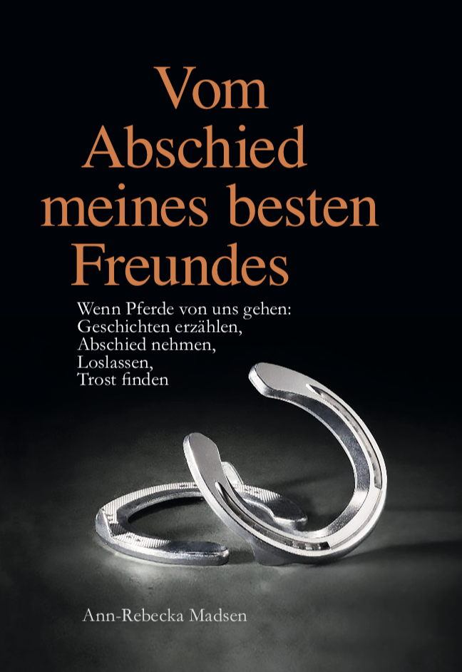 Buchcover Vom Abschied meines besten Freundes